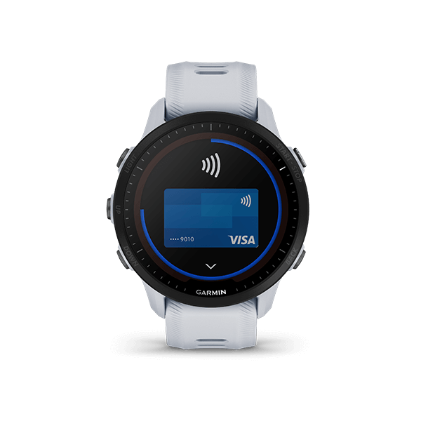 Garmin 245 hot sale garmin pay