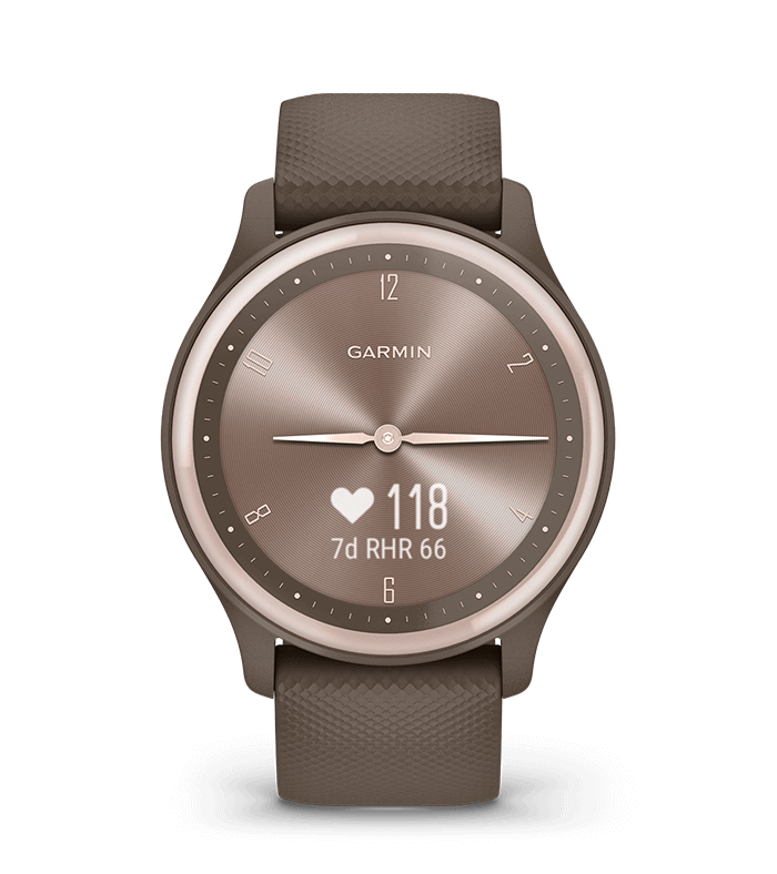 Garmin hot sale vivomove premium